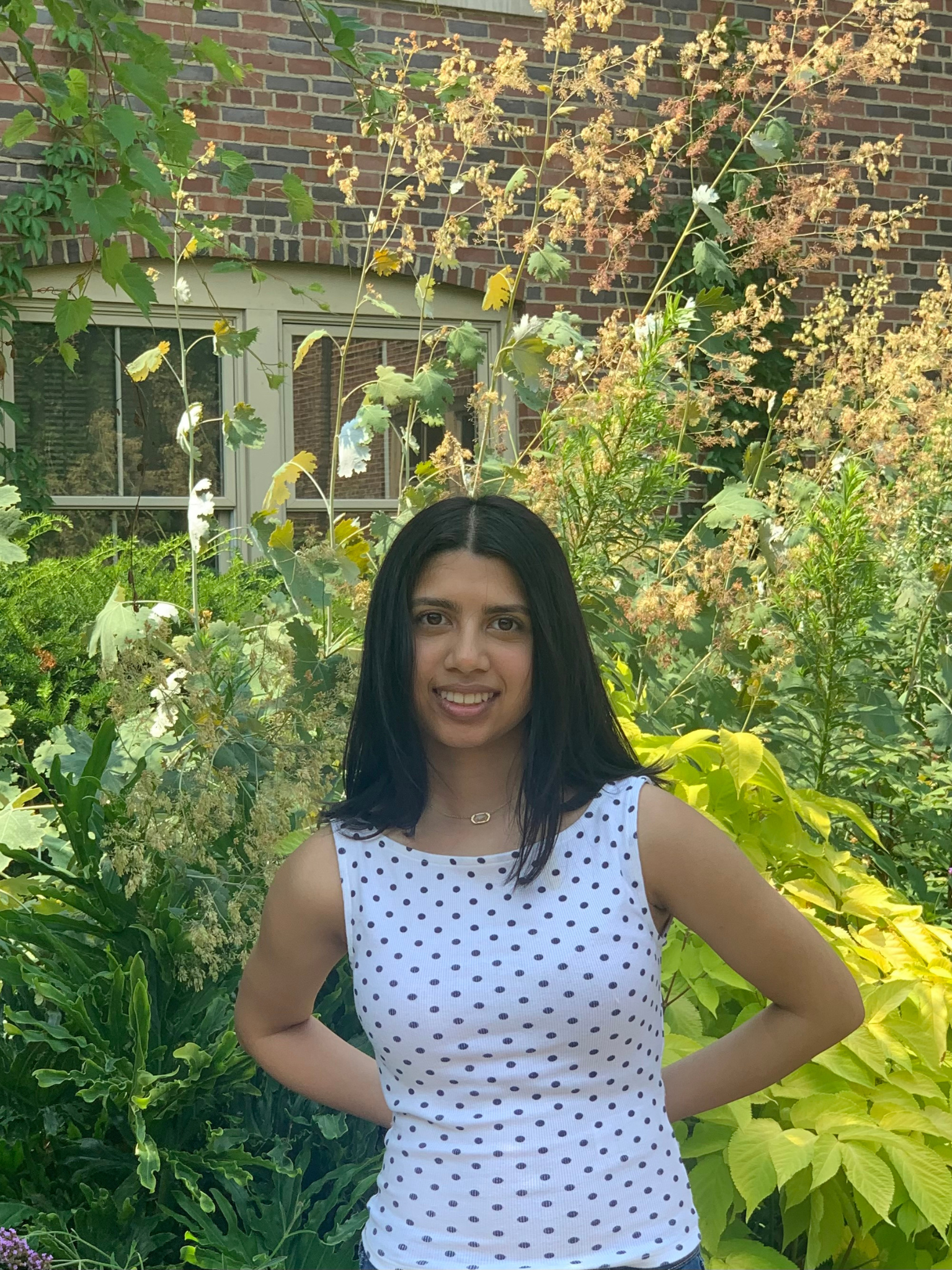 Sania Mohib